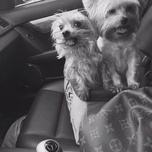 Meet your Posher, Marina